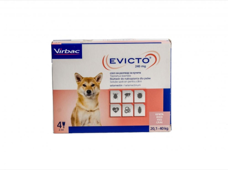 produse In Stoc - Evicto 240mg 20.1 - 40 kg x 4 pipete