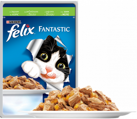 Hrana Umeda - Felix Fantastic Iepure în Aspic 100g