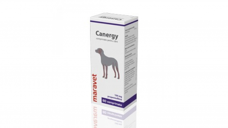 Caini - Canergy 100 mg 6 X 10 Tablete