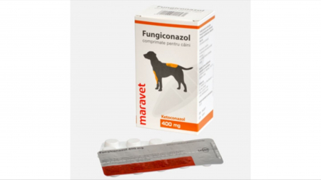 Caini - Fungiconazol 400 mg, 20 comprimate