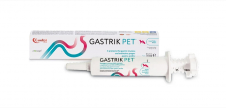 Pisici - Pasta Gastrik Pet, 30 ml, Candioli Pharma