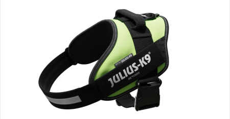 Hamuri, Lese si Zgarzi - Ham caine Julius K9 IDC Power - 2XL - Neon