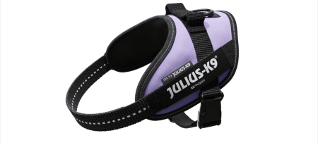 Hamuri, Lese si Zgarzi - Ham caine Julius K9 IDC Power - 2XL 82-115 cm - Mov