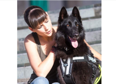 Curea Y, ham Julius K9 - M [1]
