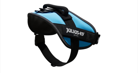 Ham caine Julius K9 IDC Power - M 58-76 cm - Aquamarine [1]