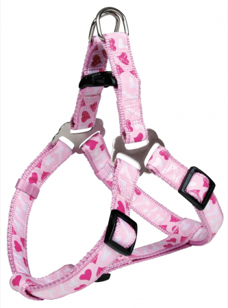 Caini - Ham Mod Rose 40-50 cm/15 mm