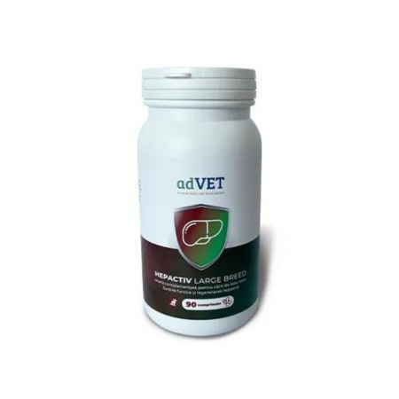 Afectiuni Hepatice - Hepactiv Large Breed - hrana complementara, flacon x 90 comprimate
