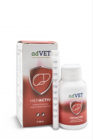 Afectiuni Hepatice - Hepactiv - solutie orala, 100 ml