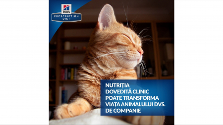 Hill's PD Feline K/D Salmon, 85 g [2]