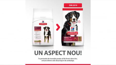 Hill's SP Adult Medium Breed hrana pentru caini cu miel si orez, 2.5 kg [5]