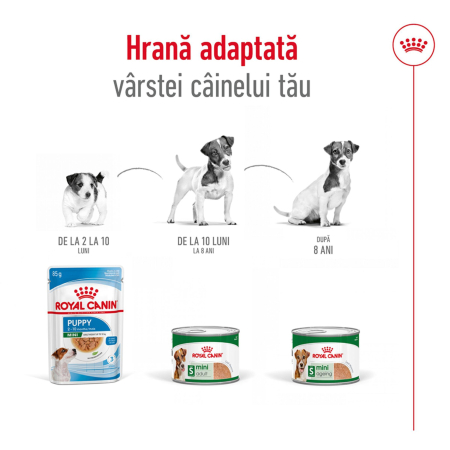 Conserva hrana umeda caini, Royal Canin Mini Adult Loaf, 195G [3]