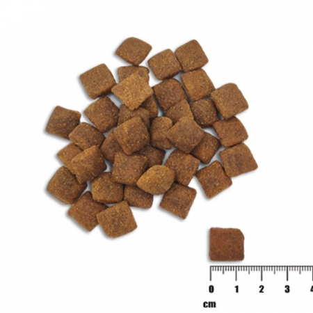 Hrana uscata pentru caini adulti, RAW PALEO HEALTHY GRAIN, pui, 10 kg [1]