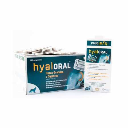 Hyaloral Large Breed 12 tablete/blister [1]