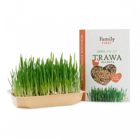 Pisici - Iarba pentru Pisici Family First 100 g