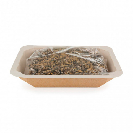 Iarba pentru Pisici Family First 100 g [2]