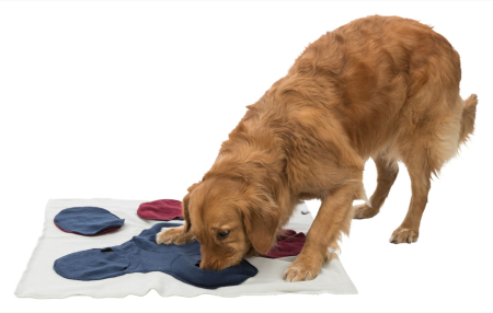 Jucarie Dog Activity Sniffing Carpet, 50 x 34 cm [3]