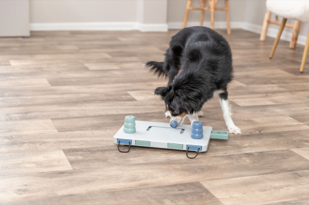 Jucarie Dog Activity, Move2Win, 34 x 13 cm [1]