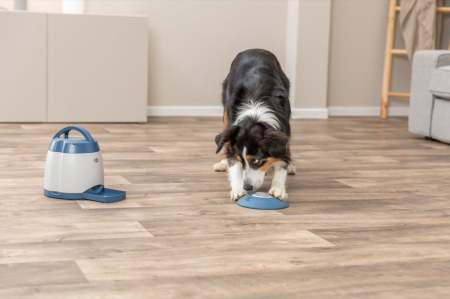 Jucarie Dog Activity, Memory Trainer 3.0, 20 x 24 cm [1]