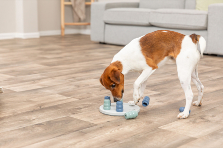 Jucarie Dog Activity, Mini Solitaire, 20 cm [2]