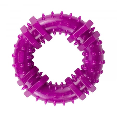 Jucarie in forma de Inel din cauciuc termoplastic, multicolor, 12 cm [4]