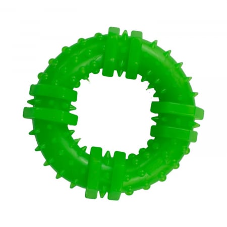 Jucarie in forma de Inel din cauciuc termoplastic, multicolor, 12 cm [1]