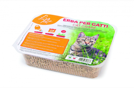 Pisici - Leopet Iarba pentru Pisici 100 g