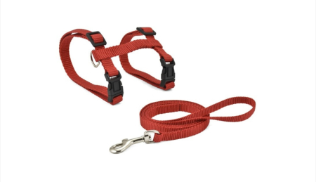 Lese, Hamuri si Zgarzi - Set lesa 10 mm - 120 cm si ham 10 mm x 27-45 cm Nayeco - Pisica - Rosu