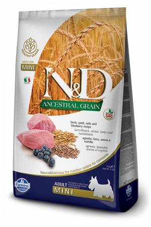 Caini - N&D Ancestral Grain Mini Adult, Miel, alac, ovaz și afine, 7 kg