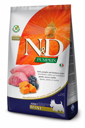 Caini - N&D Pumpkin Grain Free Mini Adult, Miel si Afine, 7 kg