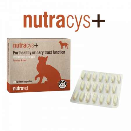 Afectiuni Renale / Urinare - Nutravet  Nutracys+ (Nutraease) 20 cps - câini și pisici