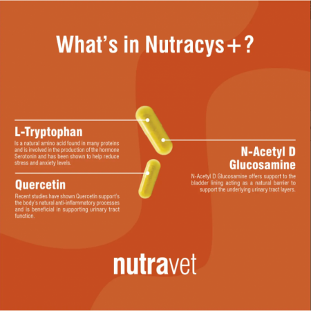 Nutravet  Nutracys+ (Nutraease) 20 cps - câini și pisici [2]