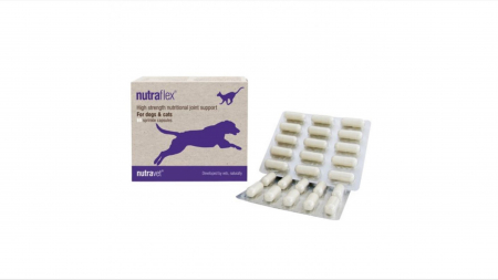 Suplimente nutritive, vitamine - Nutravet Nutraflex pentru Caini si Pisici, 60 capsule