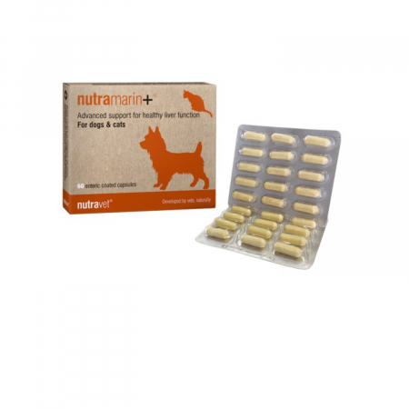Afectiuni Hepatice - Nutravet NUTRAMARIN+ pentru caini si pisici, 60 tablete