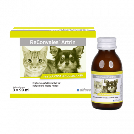 Suplimente nutritive, vitamine - Supliment care susține metabolismul articular în osteoartrita, caini si pisici, Reconvales ARTRIN, Alfavet, 90 ml