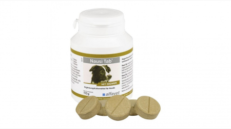 Suplimente nutritive, vitamine - Nausi Tab, 20 tablete - 110 g
