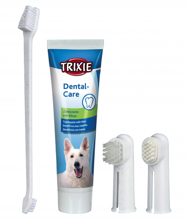 Igiena Catel - Set Periuta si Pata pentru dinti Dinti