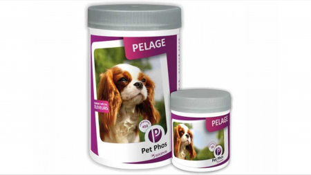 Suplimente nutritive, vitamine - Pet Phos Canin Special Pelage, 450 tablete