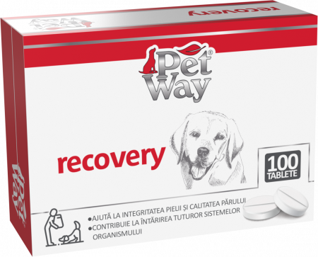 Suplimente nutritive, vitamine - Petway Recovery - 100 Tablete