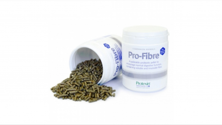 Afectiuni Digestive - PRO-FIBRE pentru caini si pisici,  500G