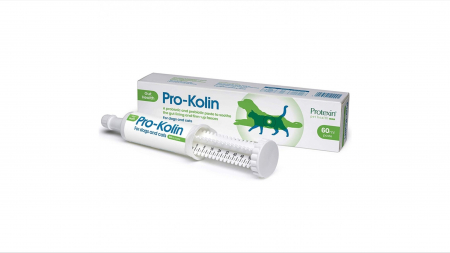 Afectiuni Digestive - PRO-KOLIN pentru caini si pisici, 60 ML