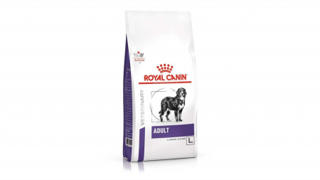 Caini - Royal Canin Adult Large Dog Dry - 4 kg