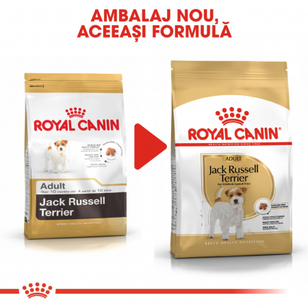 Royal Canin Jack Russell Terrier Adult, hrana uscata caini, 1.5kg [1]