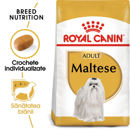 Hrana Uscata Caini - Royal Canin Bichon Maltese Adult, 500 g