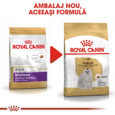 Royal Canin Bichon Maltese Adult, 500 g [1]
