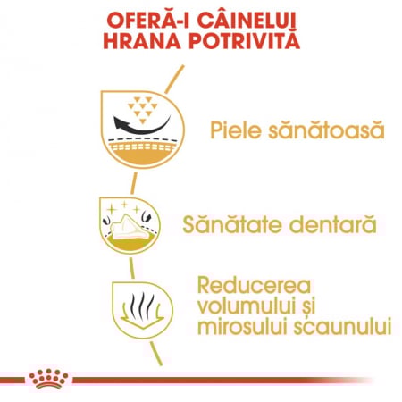 Royal Canin Shih Tzu Adult hrana uscata caine, 500 g [5]