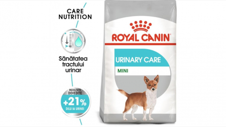 Caini - Hrana Royal Canin Mini Urinary Care, 3 Kg