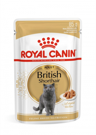 Hrana Uscata Pisici - Royal Canin British Shorthair Adult hrana umeda pisica (in sos), 1 x 85 g