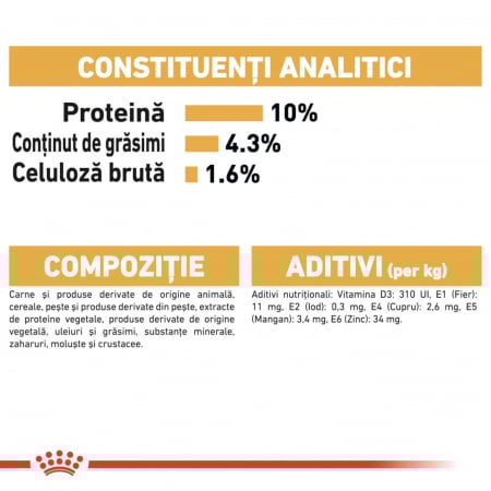 Royal Canin Maine Coon Adult hrana umeda pisica (in sos), 12 x 85 g [5]