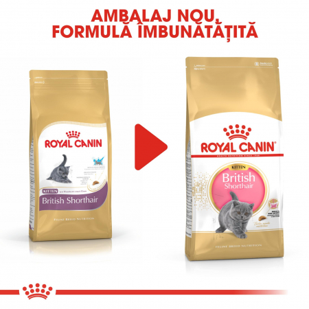 Royal Canin British Shorthair Kitten, 2 Kg [5]