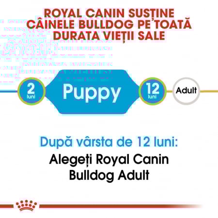 Royal Canin Bulldog Junior 3 kg [4]